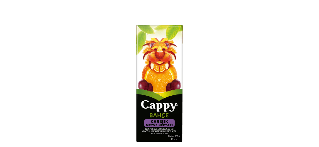 Cappy Karışık (20 cl.)