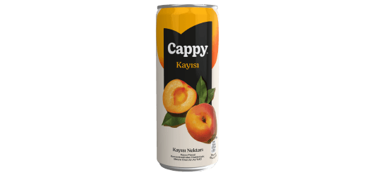 Cappy Kayısı (33 cl.)
