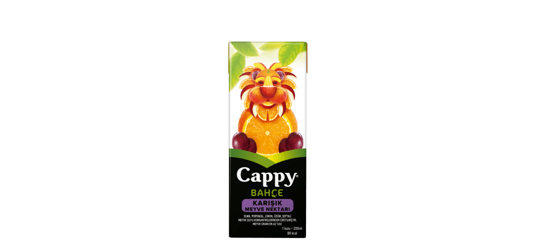Cappy Karışık (20 cl.)