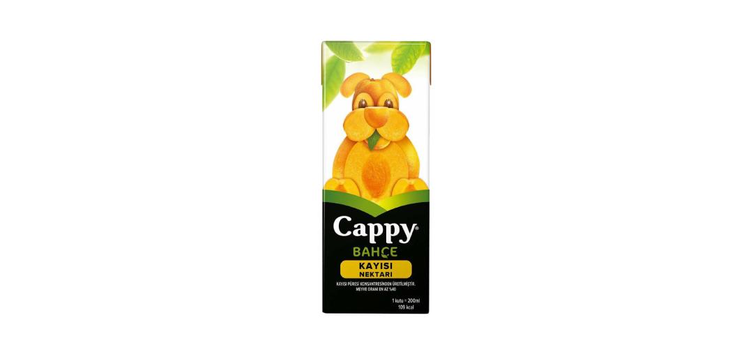 Cappy Kayısı (20 cl.)