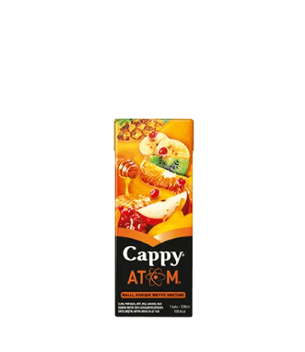 Cappy Karışık (20 cl.)